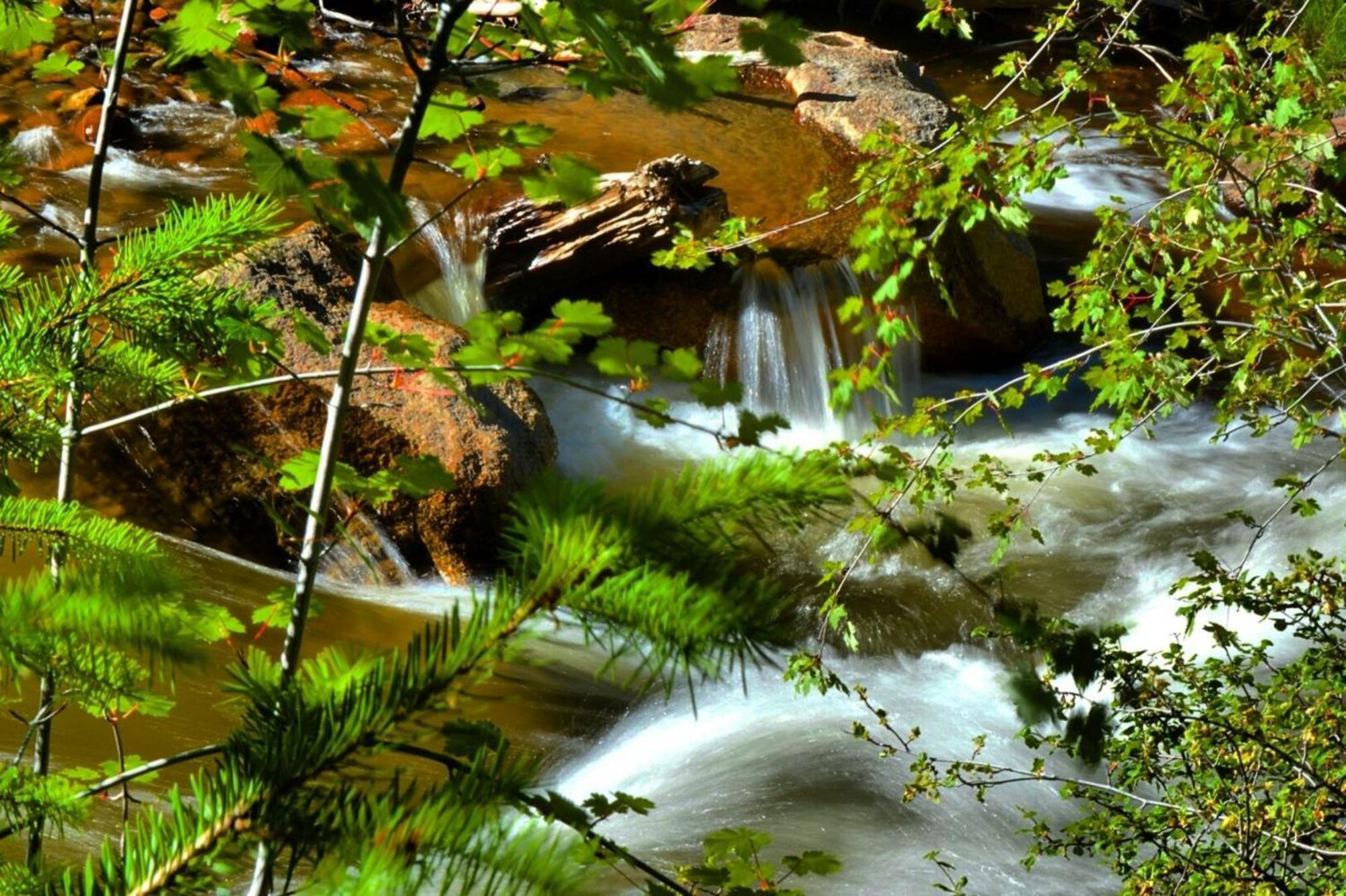Stonebrook Resort - Adult Only Estes Park Luaran gambar